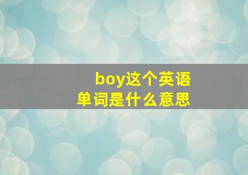 boy这个英语单词是什么意思