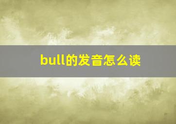 bull的发音怎么读