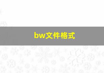 bw文件格式