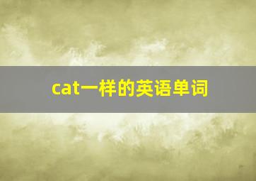 cat一样的英语单词