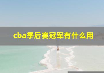 cba季后赛冠军有什么用