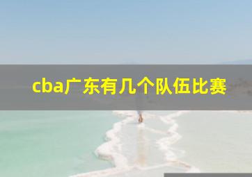 cba广东有几个队伍比赛