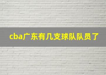 cba广东有几支球队队员了