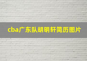 cba广东队胡明轩简历图片