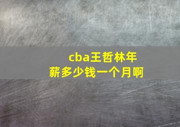 cba王哲林年薪多少钱一个月啊