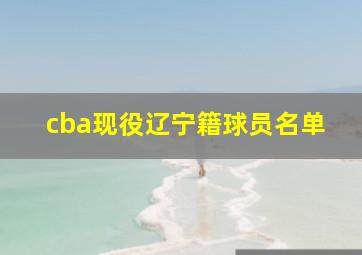 cba现役辽宁籍球员名单