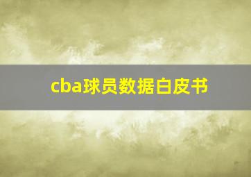 cba球员数据白皮书