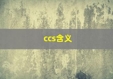 ccs含义