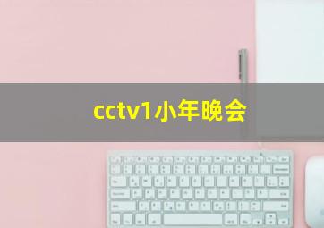 cctv1小年晚会