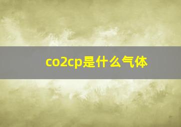 co2cp是什么气体