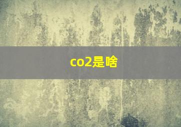 co2是啥