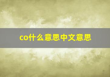 co什么意思中文意思