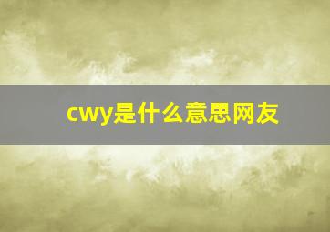 cwy是什么意思网友