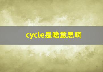 cycle是啥意思啊