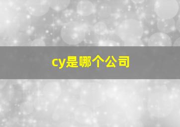 cy是哪个公司