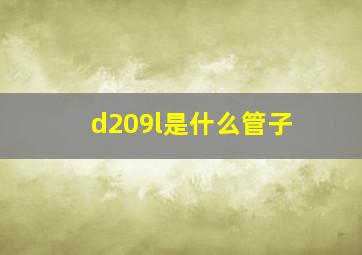 d209l是什么管子