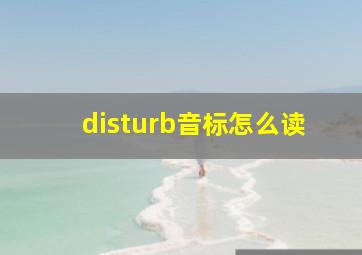 disturb音标怎么读