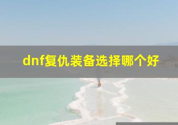 dnf复仇装备选择哪个好