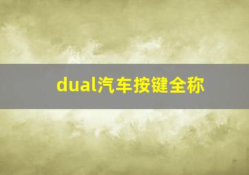 dual汽车按键全称