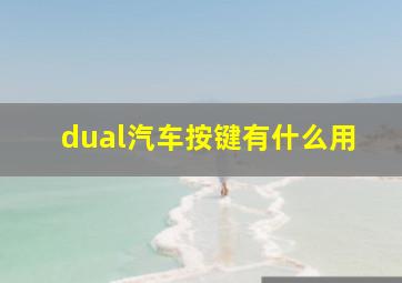 dual汽车按键有什么用