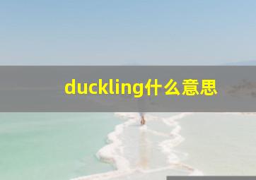 duckling什么意思