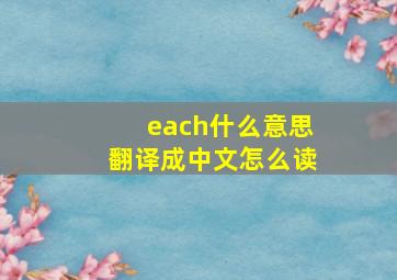 each什么意思翻译成中文怎么读