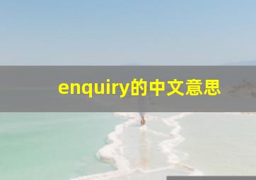 enquiry的中文意思