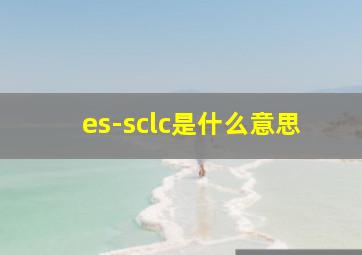 es-sclc是什么意思