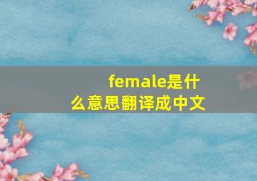 female是什么意思翻译成中文