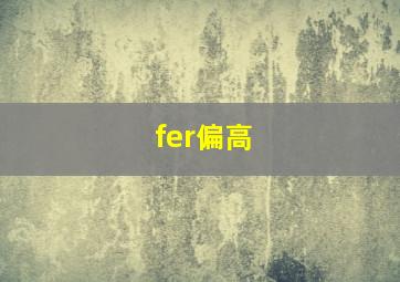 fer偏高