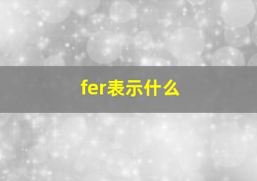 fer表示什么