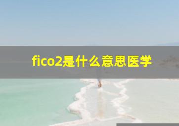 fico2是什么意思医学