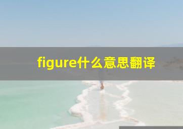 figure什么意思翻译