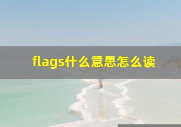 flags什么意思怎么读