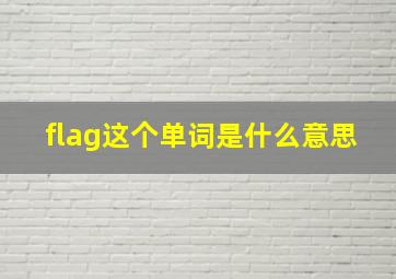 flag这个单词是什么意思