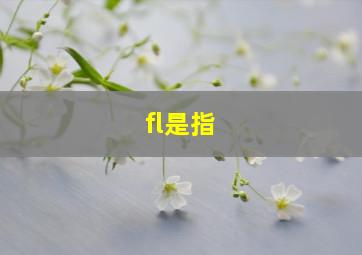 fl是指