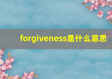 forgiveness是什么意思