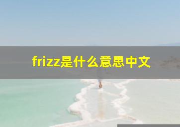 frizz是什么意思中文