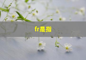 fr是指