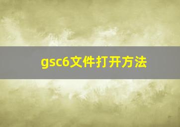 gsc6文件打开方法