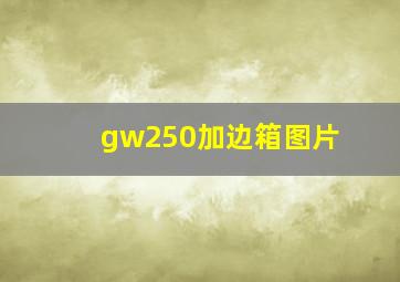 gw250加边箱图片