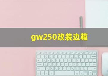 gw250改装边箱