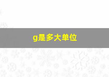 g是多大单位