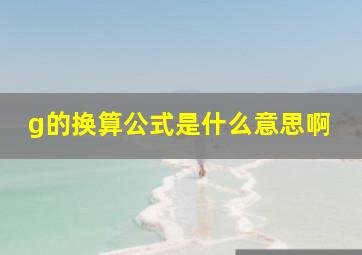 g的换算公式是什么意思啊