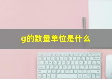 g的数量单位是什么