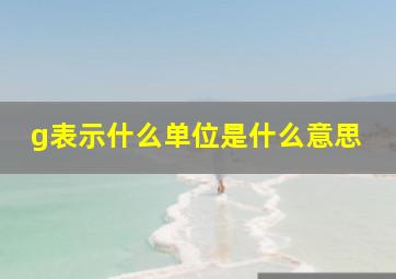 g表示什么单位是什么意思