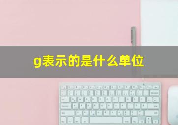 g表示的是什么单位