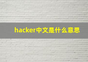 hacker中文是什么意思