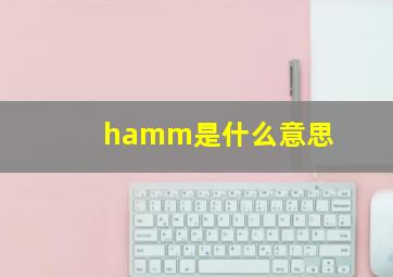 hamm是什么意思