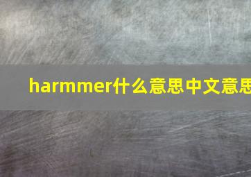 harmmer什么意思中文意思